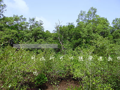 司法所可以随便进去吗(司法所通知可以不去吗)