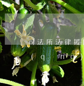 司法所法律援助收費(fèi)嗎(司法所請(qǐng)求法律援助需要錢嗎)