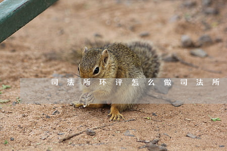 司法所环评怎么做(司法所环评怎么做)