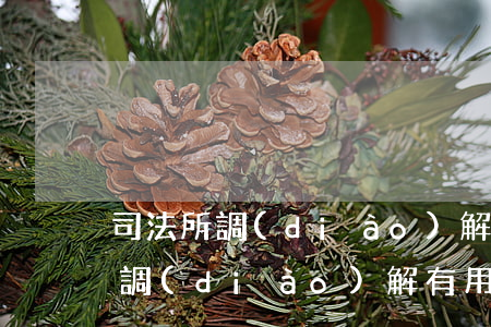 司法所調(diào)解可以不去嗎(司法局調(diào)解有用嗎)