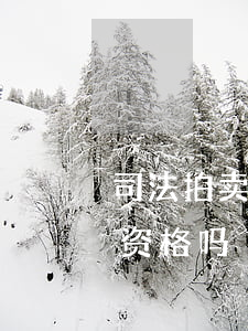 司法拍卖可以提前看房吗(司法拍卖需要购房资格吗)