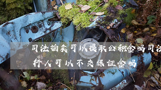 司法拍卖可以提取公积金吗(司法拍卖申请执行人可以不交保证金吗)