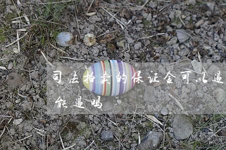 司法拍卖的保证金可以退吗(法院拍卖保证金能退吗)