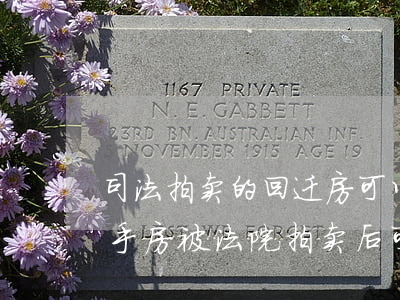 司法拍卖的回迁房可以过户吗(不能过户的二手房被法院拍卖后可以过户吗)