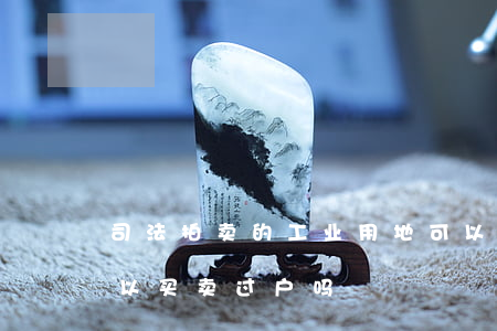 司法拍卖的工业用地可以过户吗(工业用地可以买卖过户吗)