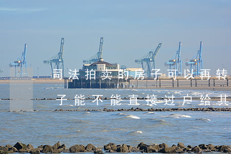 司法拍卖的房子可以再转卖吗(司法拍卖的房子能不能直接过户给其他人)