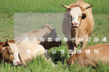 司法拍卖的房子可以按揭贷款吗(司法拍卖的房产可以贷款按揭吗?)