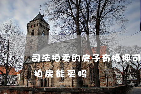 司法拍卖的房子有抵押可以买吗(有抵押的法拍房能买吗)