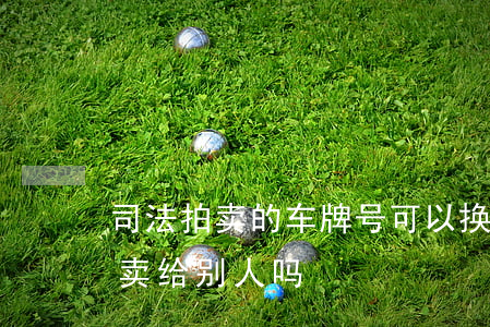 司法拍卖的车牌号可以换车吗(车牌号可以拍卖给别人吗)