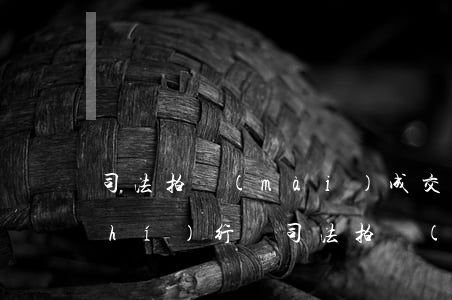 司法拍賣(mài)成交后可以中止執(zhí)行嗎(司法拍賣(mài)可以撤銷(xiāo)嗎)