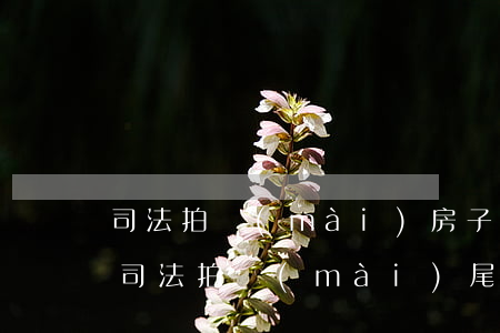 司法拍賣(mài)房子尾款可以延期交嗎(司法拍賣(mài)尾款逾期的規(guī)定)