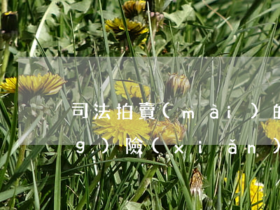 司法拍賣(mài)的房屋法律風(fēng)險(xiǎn)有哪些