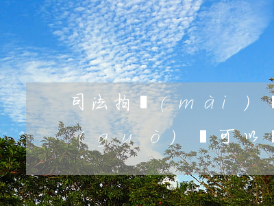 司法拍賣(mài)車(chē)輛延遲過(guò)戶可以嗎(法院拍賣(mài)的車(chē)可以不過(guò)戶嗎)