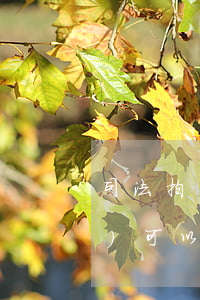 司法拍賣(mài)過(guò)戶(hù)可以跳過(guò)貨主嗎(司法拍賣(mài)車(chē)可以過(guò)戶(hù)嗎)