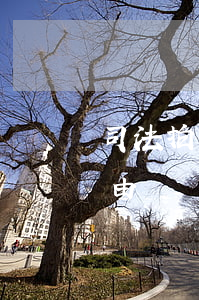 司法拍賣前可以撤銷嗎(司法拍賣撤銷法定事由)