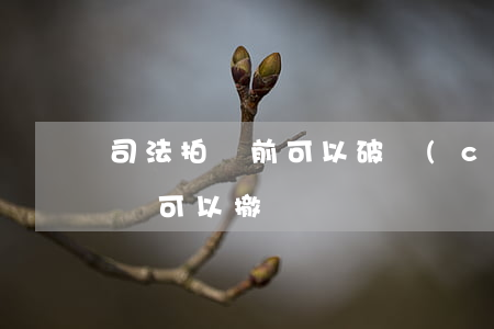 司法拍賣前可以破產(chǎn)嗎(司法拍賣可以撤銷嗎)