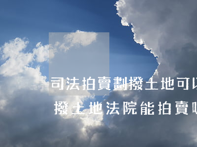 司法拍賣劃撥土地可以過(guò)戶嗎(劃撥土地法院能拍賣嗎)