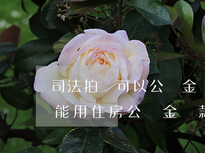 司法拍賣可以公積金貸款購買嗎(法院拍賣房能用住房公積金貸款嗎?)