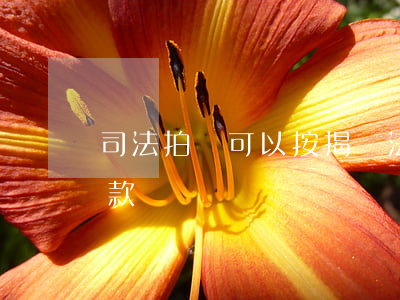 司法拍賣可以按揭嗎(法院拍賣房可以按揭貸款嗎)