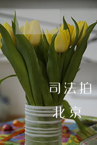 司法拍賣可以買北京車牌嗎(司法拍賣可以買北京車牌嗎)