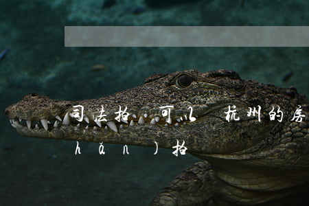 司法拍賣可以買杭州的房子嗎(杭州房產(chǎn)拍賣)