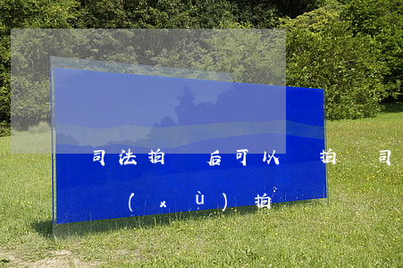 司法拍賣后可以徹拍嗎(司法拍賣中止后會繼續(xù)拍賣嗎)