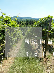 司法拍賣大的房子可以貸款嗎(司法拍賣房產(chǎn)可以貸款買嗎)