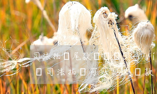 司法拍賣尾款繳納時(shí)間可以緩交嗎(司法拍賣可以延期繳款嗎)