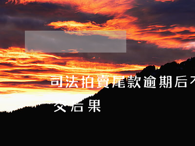 司法拍賣尾款逾期后不起-司法拍賣尾款遲交后果