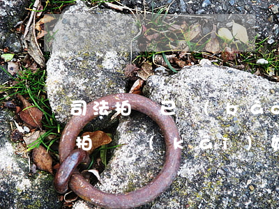 司法拍賣已報(bào)名可以中止嗎(司法拍賣開(kāi)始了還能報(bào)名嗎)
