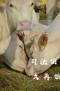 司法拍賣已開拍后還可以中止嗎(拍賣中止多久再拍賣)
