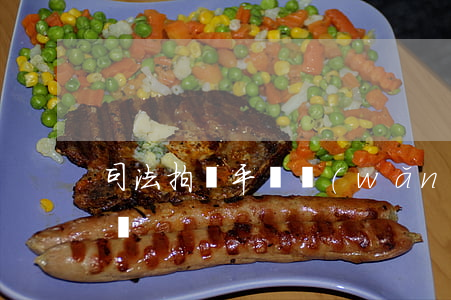 司法拍賣平臺(網(wǎng)絡司法拍賣平臺)