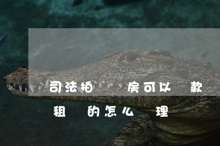 司法拍賣廠房可以貸款嗎(司法拍賣的廠房有租賃的怎么處理?)