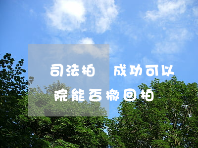 司法拍賣成功可以違約嗎(司法拍賣成交后法院能否撤回拍賣)