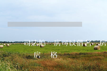 司法拍賣房可以借名買房嗎(司法拍賣房需要購房資格嗎)