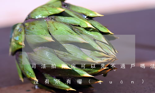 司法拍賣房可以先不過戶嗎(法拍房不過戶有沒有所有權(quán)?)