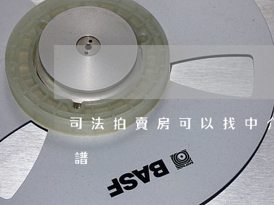 司法拍賣房可以找中介嗎(法拍房哪個中介靠譜)