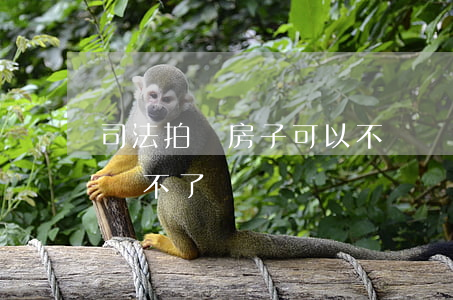 司法拍賣房子可以不過戶嗎(法院拍賣的房子過不了戶)