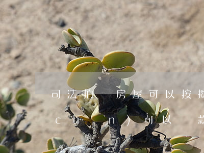 司法拍賣房屋可以按揭嗎(司法拍賣的房產(chǎn)可以貸款按揭嗎?)