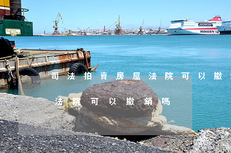 司法拍賣房屋法院可以撤銷嗎(司法拍賣房屋法院可以撤銷嗎)