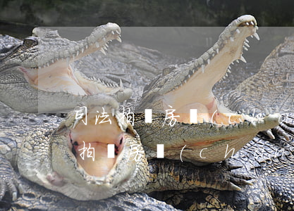 司法拍賣房產(chǎn)可以按揭嗎(司法拍賣房產(chǎn)可以按揭嗎)