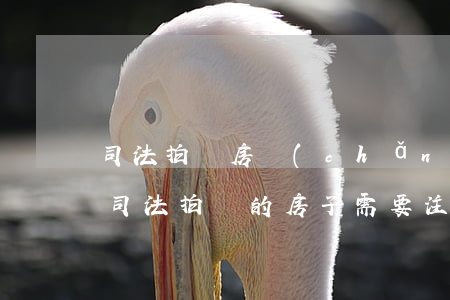 司法拍賣房產(chǎn)可以用來投資嗎(司法拍賣的房子需要注意幾個(gè)方面)
