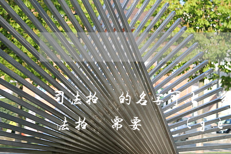 司法拍賣的名字可以寫多個(gè)人嗎(司法拍賣需要幾個(gè)人參加)