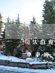 司法拍賣的國四車輛可以上牌嗎(司法拍賣汽車車牌可以過戶嗎)