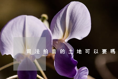 司法拍賣的土地可以要嗎(司法拍賣土地流程)