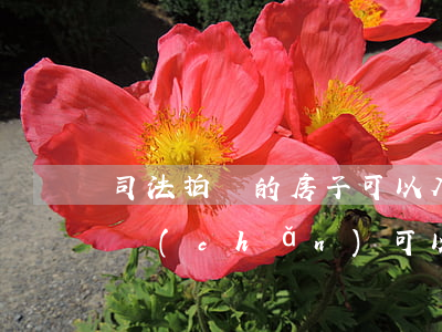 司法拍賣的房子可以入戶嗎(杭州司法拍賣房產(chǎn)可以落戶嗎)