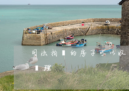 司法拍賣的房子可以收回嗎(法院拍賣后怎么處理)