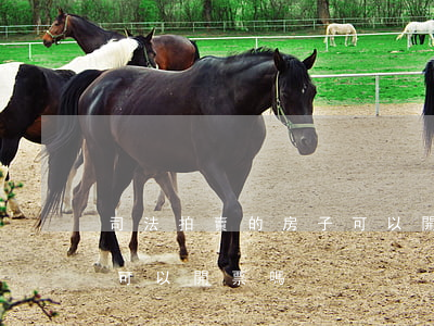 司法拍賣的房子可以開票嗎(司法拍賣的房子可以開票嗎)