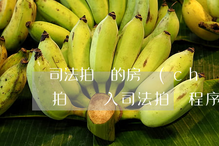 司法拍賣的房產(chǎn)有糾紛可以撤拍嗎(進入司法拍賣程序可以撤拍嗎)