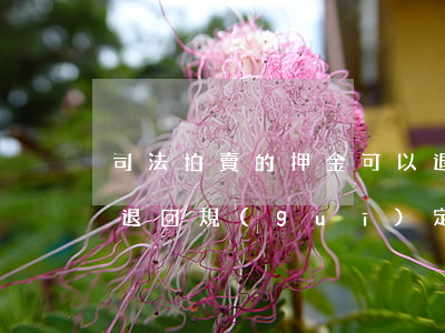 司法拍賣的押金可以退回嗎(拍賣公司保證金退回規(guī)定)